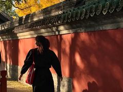 -北京国子监胡同