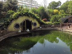 -南宫五洲植物乐园