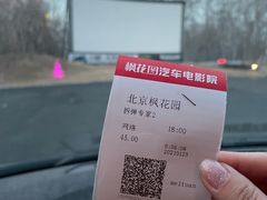 -枫花园汽车电影院(朝阳公园店)