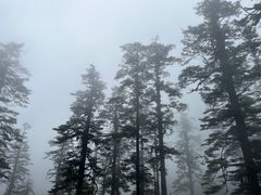 -瓦屋山景区