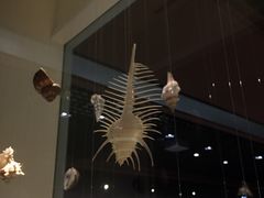 -青岛贝壳博物馆