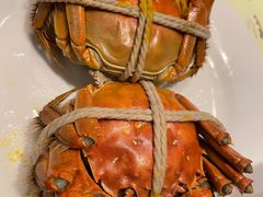 -苏州苏州湾艾美酒店-新食谱全日制餐厅