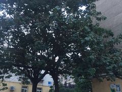 -张生记(双菱店)