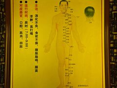 -莱仪堂艾灸经络养生馆(九亭一店)