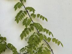 -春晖园度假酒店温泉