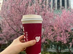 -COSTA COFFEE(上海虹口公园店)