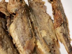 -金谷园饺子·烧烤(人大总店)