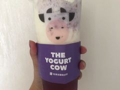 -一只酸奶牛(八一路店)