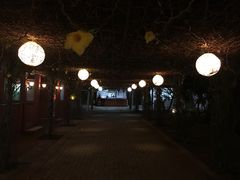 -海盗餐厅