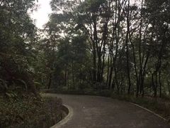 -广州市帽峰山景区