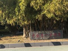 -五缘湾湿地公园