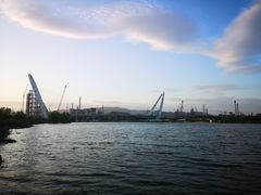 -永定河休闲森林公园