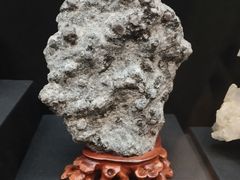 -烟台自然博物馆
