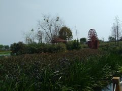 -那考河湿地公园