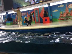 -成都浩海立方海洋公园