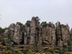 -秀丽东方