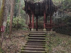 -凤栖山