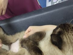 -宠颐生动物医院·心脏科·保险定点(锦阳分院)