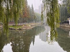-温江公园