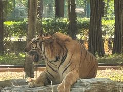 -秦皇岛野生动物园