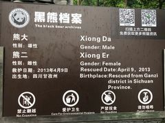 -都江堰中华大熊猫苑