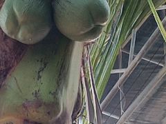 -北戴河集发农业梦想王国