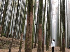 -山王坪喀斯特国家生态公园