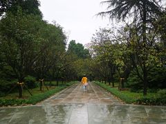 -南山植物园