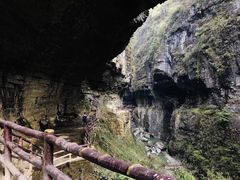 -鹿院坪生态旅游景区