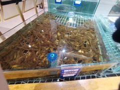-阿毛饭店·宁波老字号(儿童公园旗舰店)