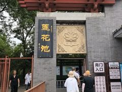 -莲花池公园
