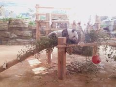 -西霞口神雕山野生动物世界