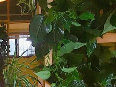 -大众跷脚牛肉馆·非遗传承单位(峨眉山店)