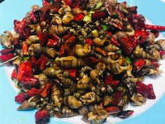 -鼎原力量东北吊炉烧烤(临河街店)