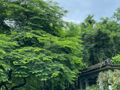-杭州植物园