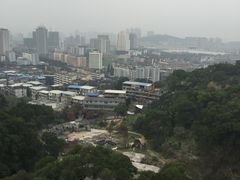 -金鸡山公园