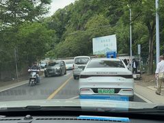 -上海佘山国家森林公园天马山园