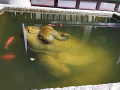 -乐山乌木文化博览苑