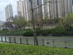 -苏州河梦清园环保主题公园