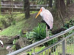 -吉隆坡雀鸟公园