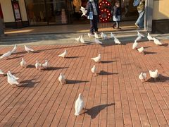 -王府井奥莱临潼小镇(临潼店)