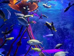 -沈阳海洋探索中心