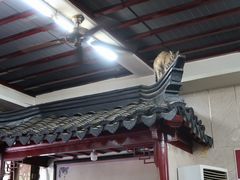 -协和菜馆(凤凰街店)