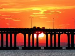 -宝安西湾红树林湿地公园