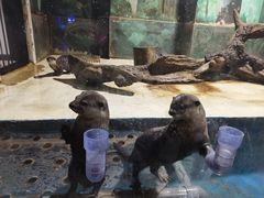 -华夏文旅海洋公园