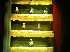 -水秀国际大剧院