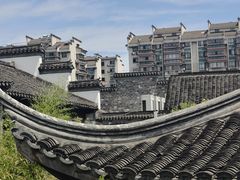 -芥子园