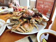 -视界美食自助餐厅·石家庄希尔顿酒店