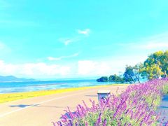 -大理洱海