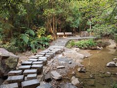 -广州白江湖森林公园